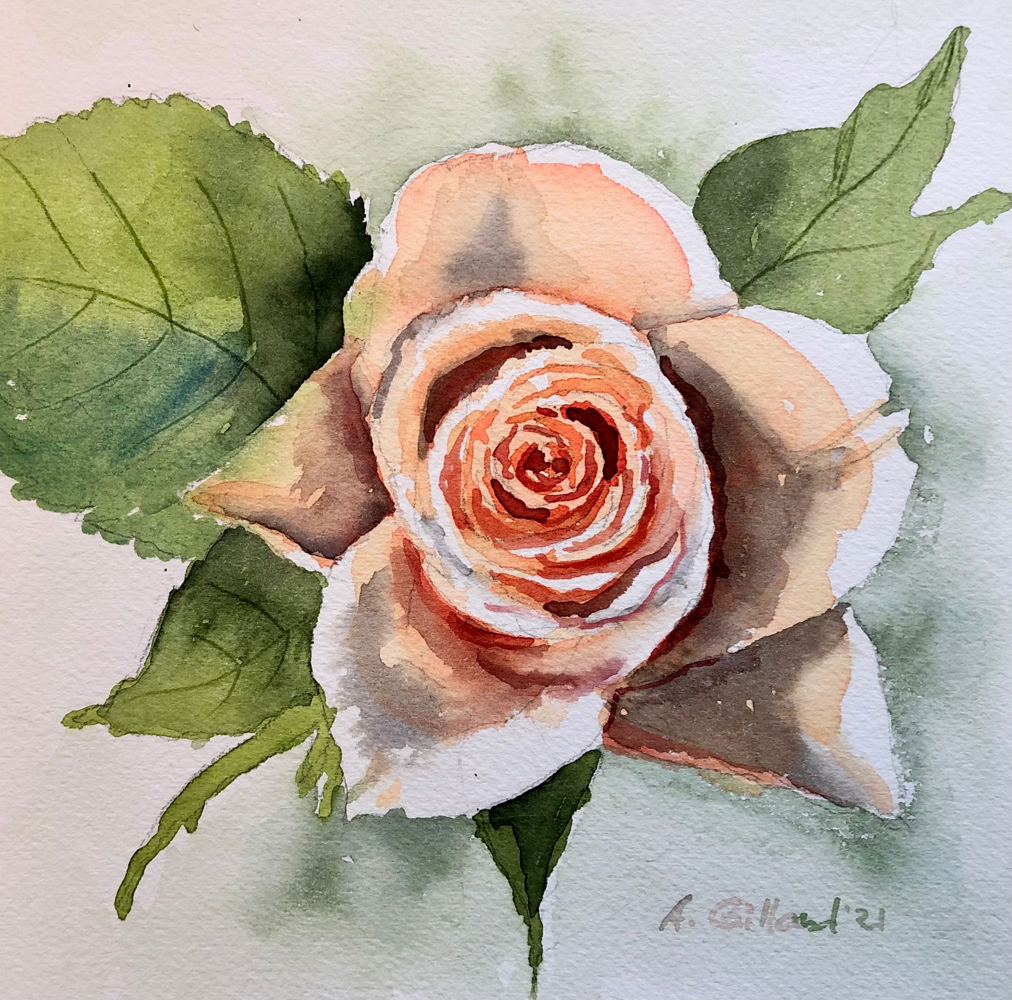 Aquarell Rose Kunstwerk